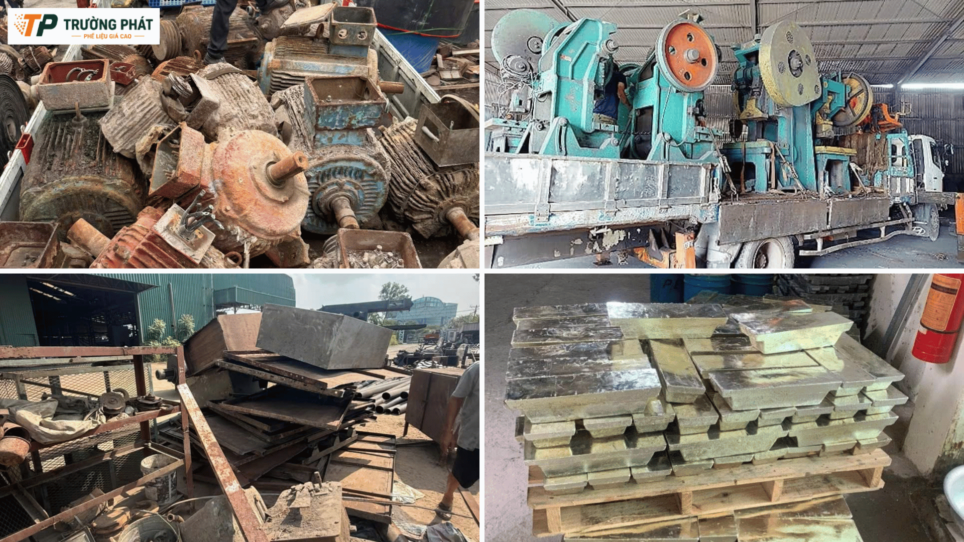 Dự báo giá phế liệu đa dạng